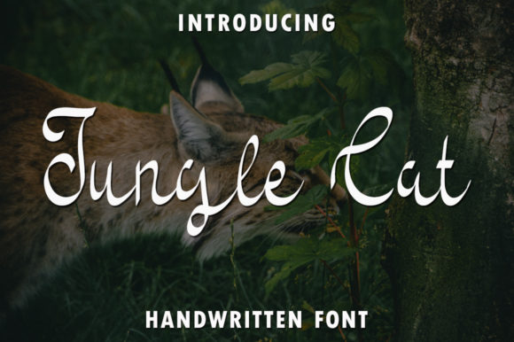 Jungle Cat: A Handwritten Typeface for Editorial Warmth