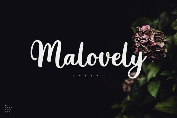 Malovely: A Graceful Handwritten Font for Editorial Design