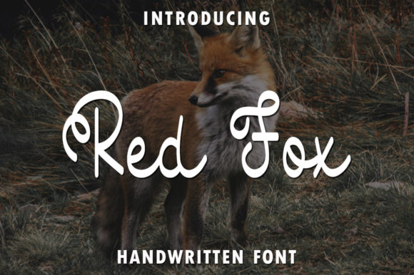 Red Fox: A Handwritten Font for Web Design