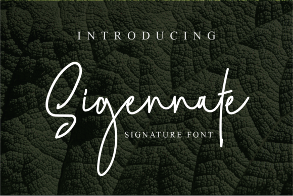 Sigennate: A Refined Script Font for Web Design