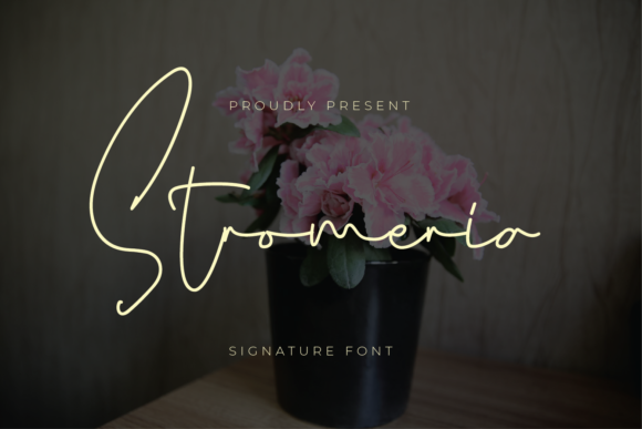 Stromeria: A Delicate Script Font for Editorial Design
