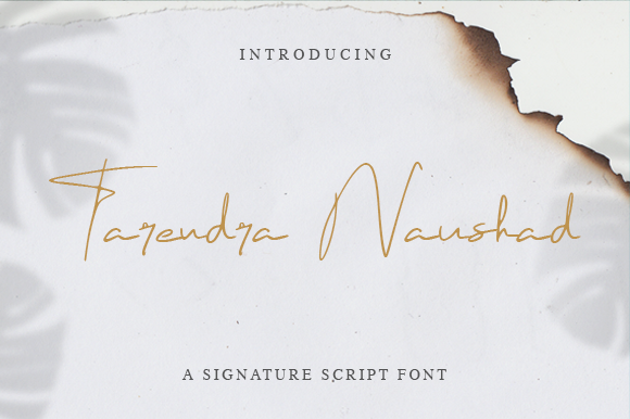 Tarendra Naushad: A Refined Script Font for Digital Elegance